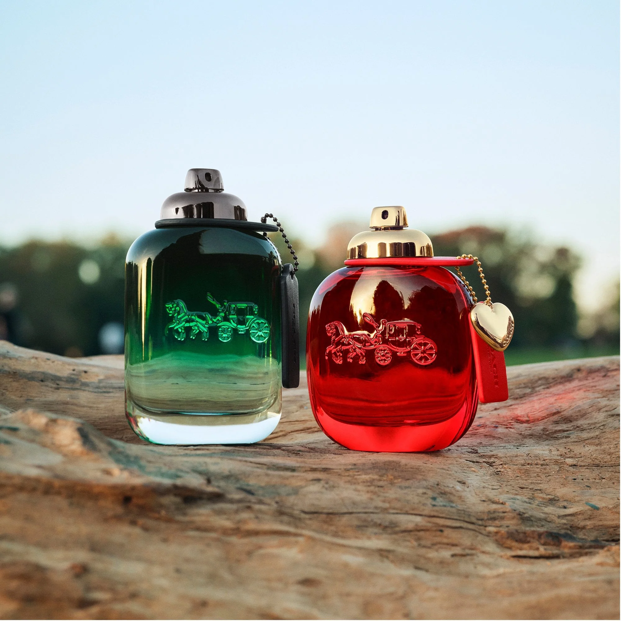 Coach Love Eau De Parfum 30ml Spray - Image 5