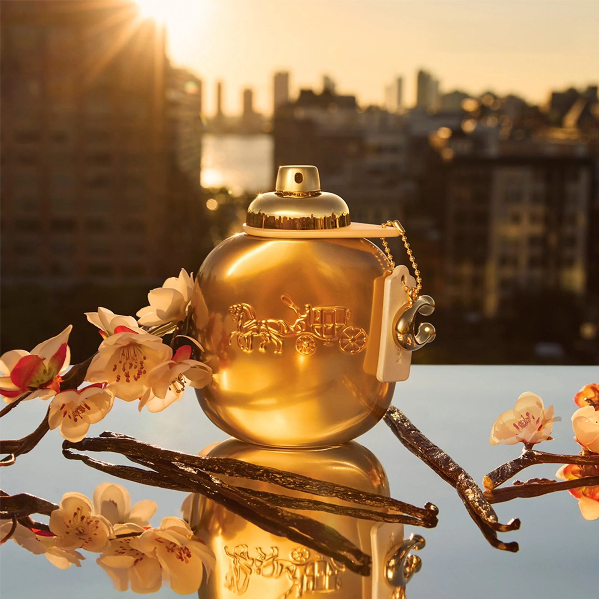 Coach Woman Gold Parfum 50ml Spray - Image 3