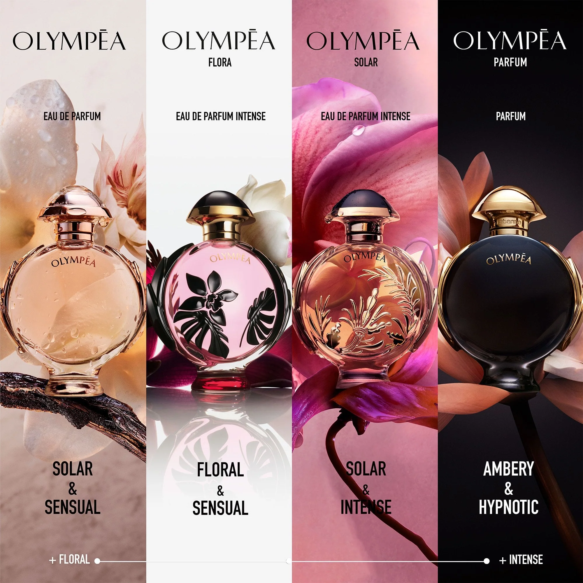 Rabanne Olympéa Parfum 30ml Spray - Image 4